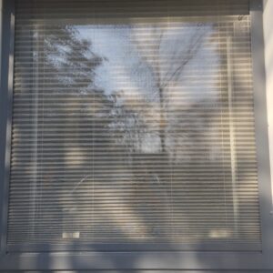 Pliszé szúnyoghálók ablakra